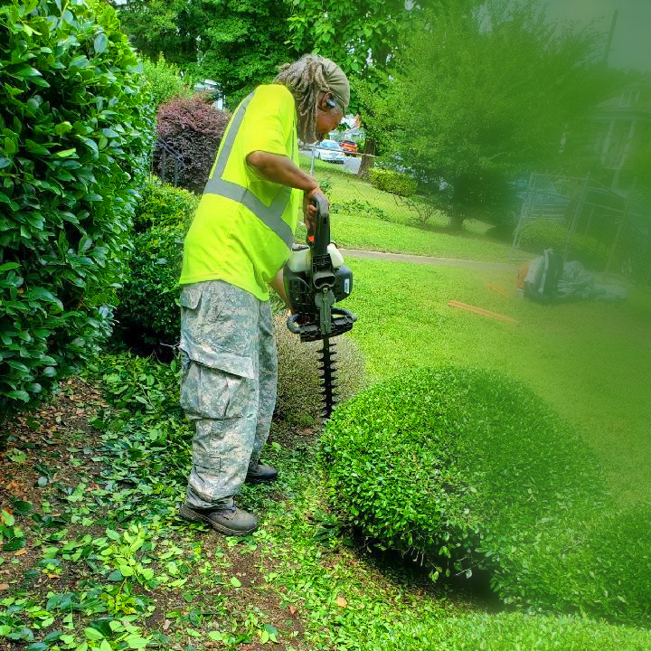 Hedge Trimming