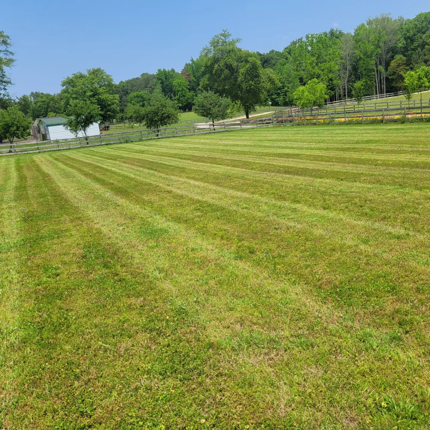 Gardener Mowing