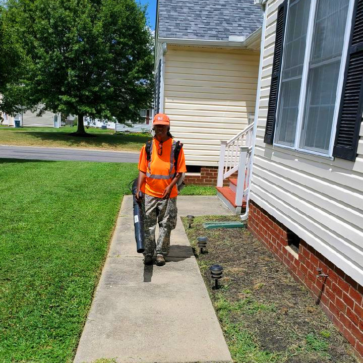 Lawn Blowing