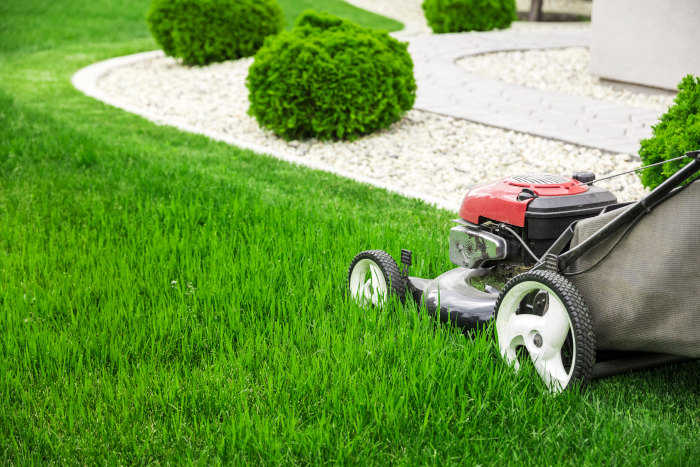 Mowing Machine