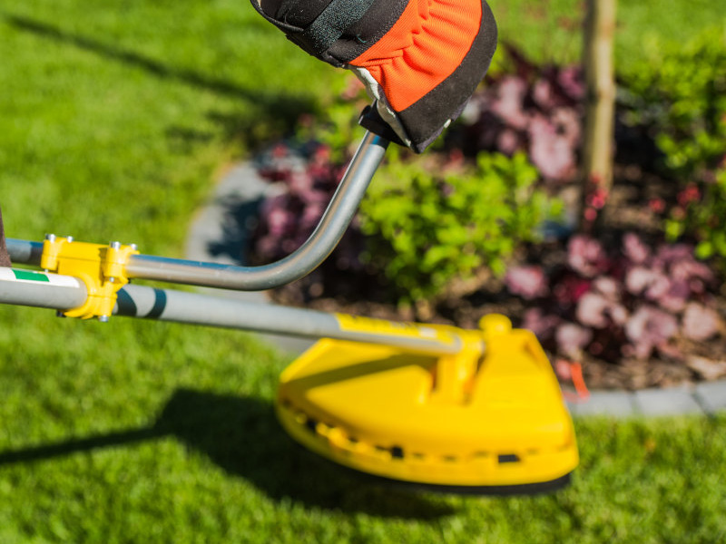 Weed Whacking